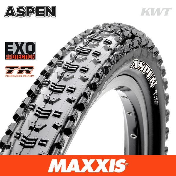 maxxis aspen exo tr