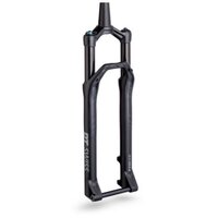 Fork Dt F232 One 29 100 15x110 Remote