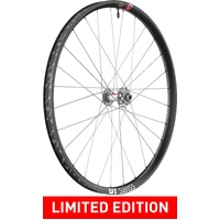 DT Swiss EXC 1200 CLASSIC 30 Disc Brake Front Wheel — 29", 15×110 mm Boost, 6-bolt (Three Decades edition)