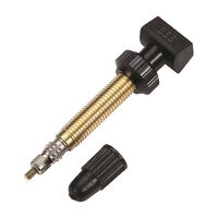 BBB TUBELESS VALVES 48MM REMOVABLE CORE 2 PIECES