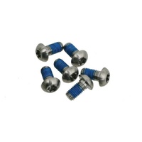 Disc Rotor Bolts M5 x 10 mm T25 Torx Silver with Loctite (Bag of 6)