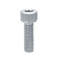 BOLT  M6, 16mm, Stainless Steel with Washer & Locktite, Bag of 10