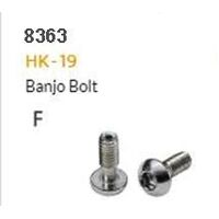 HYDRAULIC HOSE FITTING - F - HK-19, Banjo bag bolt,stainless,M6 x 17L (10 pack)