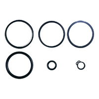 SR Suntour Durolux36 Air Seal Kit (FKA121-14)