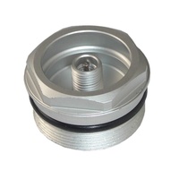 SR Suntour Raidon34 Air Top Cap (FKE075-58)