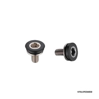 FSA Crank Bolt Steel M8 with Washer for FSA JIS Cranks Chrome (2 Pieces) ML019