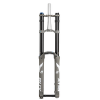 SR Suntour 29" RUX38 EVO SF25 RC+-PCS-T Suspension Fork 20x110mm Boost 200mm Tapered Disc, Grey