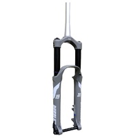 29" Durolux38-EVO EQ RC+ CARTRIDGE SEMI OPEN BATH Suspension Fork, 15x110mm Thru-Axle - 170mm Travel, Boost, Team Grey Gloss, SR Suntour