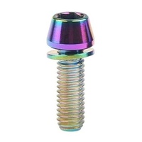 Titanium Bolt M5 x 20 mm Rainbow Gr 5 Tapered Head with Washer (Each)