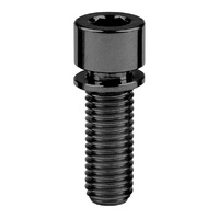 Titanium Stem Bolt M5 x 20 mm Black Gr 5 Allen Head with Washer (Each)