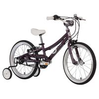 BYK Bikes E350x3i 3-6yrs 95 - 117cm | 3-6 YRS