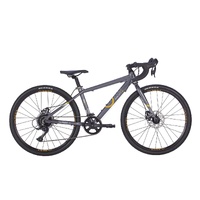 ByK E-540x9 Gravel Kids Bike