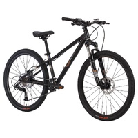 ByK E-620x9 MTBD 26" Youth Disc Mountain Bike