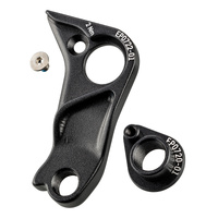 Canyon GP0161-01 Derailleur Hanger
