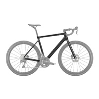 Canyon Endurace CF Protection Foil Set