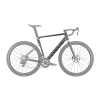 Canyon Endurace CF SLX Protection Foil Set