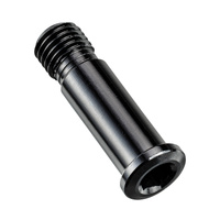 Canyon Screw for Derailleur Hanger No.21