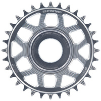 e*thirteen Helix Race e*spec Sterling Silver 21mm Shimano EP8 Chainring