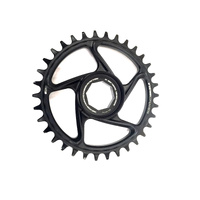 e*thirteen e*spec Direct Mount Chainring – Brose S Mag