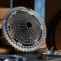 e*thirteen Helix Plus 12-Speed Cassette – 9-50T XD/XDR