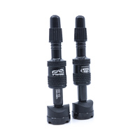 e*thirteen 16-24mm Presta Tubeless Valve – Quick Fill (2pc)