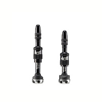 e*thirteen 16-24mm Presta Tubeless Valve – Bosch Fit (2pc)
