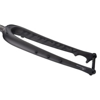 Ritchey WCS Carbon Mountain Adventure Fork