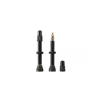 Ritchey Tubeless Valve