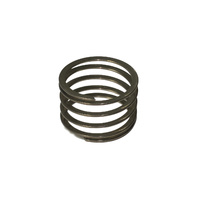 Scope Flat Spring for Artech and Race Hubs