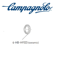 Campagnolo Ceramic Hub Bearing Rings Rear Hub Position H (4 pcs)