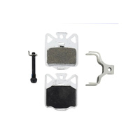 Campagnolo Disc Brake Pads Alloy Back Plate + Pin Kit + Spring (Pair)