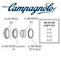 Campagnolo USB Rear Hub Bearing Kit