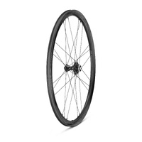 Campagnolo Bora WTO 33 Disc Brake 2-Way Fit Wheelset Dark Label