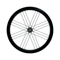 Campagnolo Bora WTO 45 C23 Disc Brake 2-Way Fit Wheelset