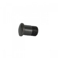 Campagnolo Magnet-Attracting Nipple Insert for Eurus and Shamal