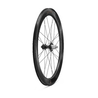 Campagnolo Bora Ultra WTO 60 Disc Brake 2-Way Fit Rear Wheel Dark Copper Shaded XDR