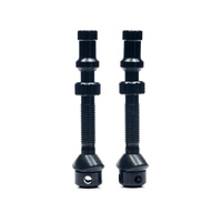 Stan's NoTubes Universal+ Tubeless Valve Pair, Regular, Black