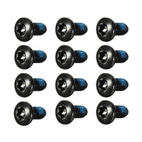 ASHIMA M5X10 Steel Rotor Bolt - Torx T25 - Black - 12 Pack