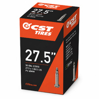 CST Save Tube 27.5 x 1.90/2.125 Presta 48mm Valve