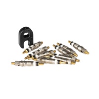 GRANITE JUICY - Presta valve core 10pc inc plastic removal tool 1pc