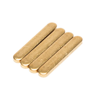 TRANZX Replacement Brass Key - 5x 2.3x33mm - YSP07 / 15 / 18 / 19 / 22 - 30.9-31.6mm