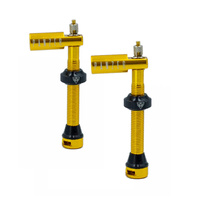 Ride Panzer Tubeless Valves — 48 mm, Gold, Pair
