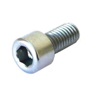 Bolt M5 Allen Head (Bag)