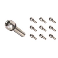 Stem Bolt M6 x 20 mm Round Allen Head Stainless