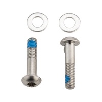 Bracket Mounting Bolts - Titanium T25 15mm (2 Pcs) - Flat Mount Caliper