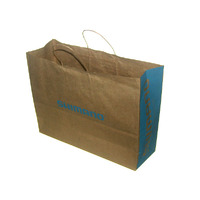 SALE BAG - SHIMANO 31cm x 42cm x 11cm PAPER