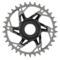 SRAM-XX Eagle Transmission Direct Mount E-MTB Chainring for Bosch