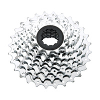 SRAM-PG-850 Cassette