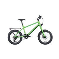 EBCO Street 2U eBike