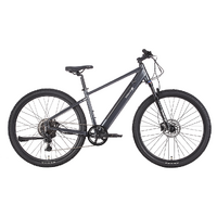 VelectriX Ascent 29 Hub-Drive eMTB